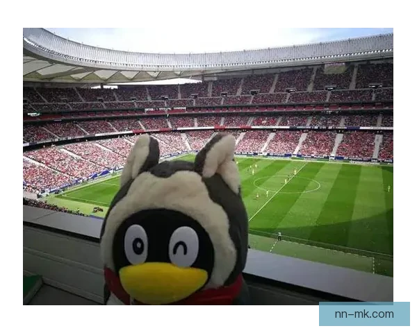 2025女足欧洲杯瑞士门票开启预售引球迷热情抢购